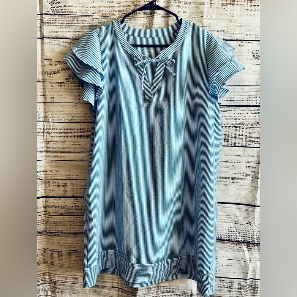 Vineyard Vines Blue and White Harbor Flutter Tunic Dress